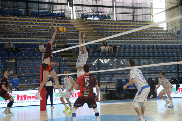 CAVALLINO-FERRARA-GIOCO.JPG