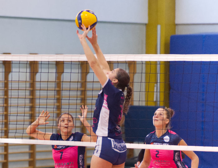 Cinque conferme per Trentino Energie verso la nuova Serie B2