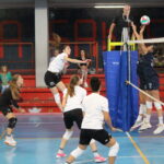 Comunicato Ariete PVP - test con l'OMAC