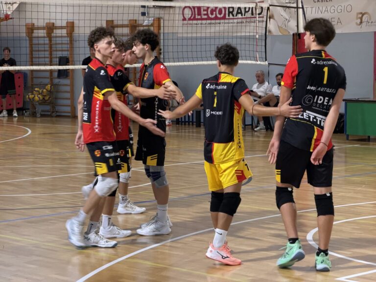 VOLLEY TREVISO - COMUNICATO: QUATTRO SETTIMANE DENTRO LA NUOVA STAGIONE: PRENDE FORMA LA SERIE B DI VOLLEY TREVISO